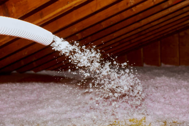 Best Insulation for Commercial Buildings  in Lawson, MO