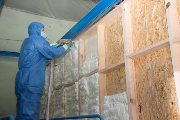 Best Blown-in Insulation  in Lawson, MO