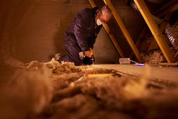 Best Insulation Inspection Services  in Lawson, MO