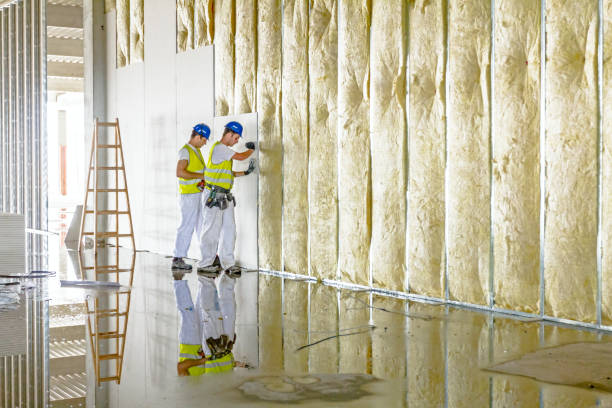 Best Cellulose Insulation  in Lawson, MO